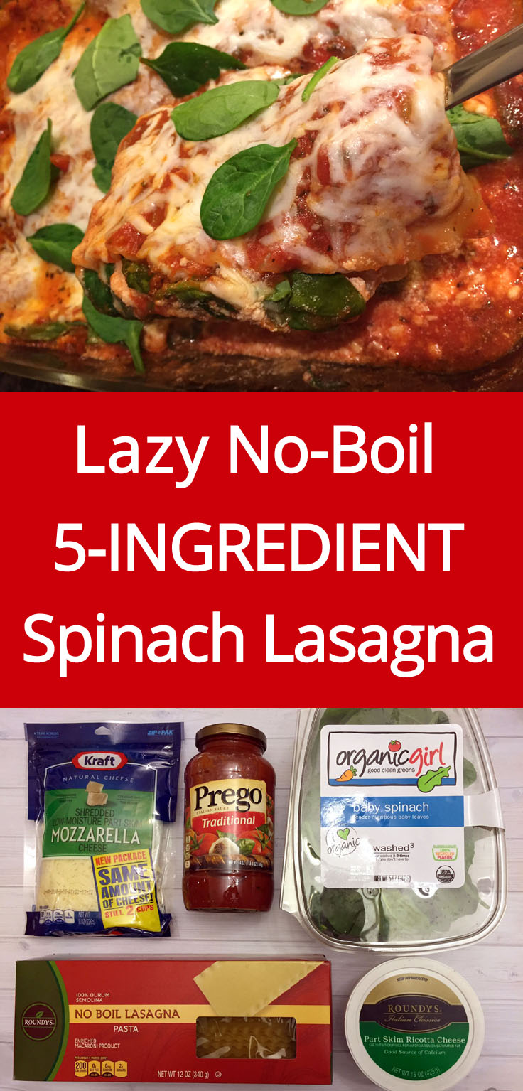 easy lasagna recipes without ricotta cheese
