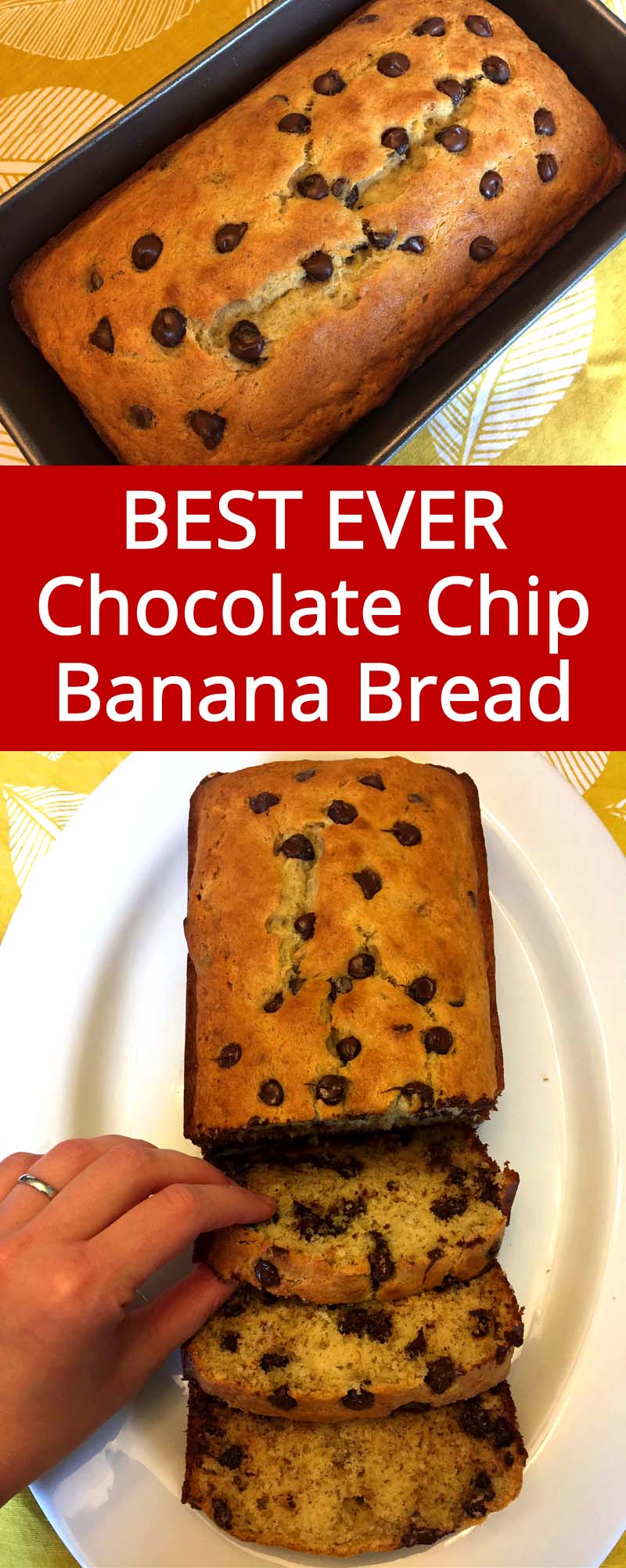 Easy Chocolate Chip Banana Bread Recipe – Best Ever! – Melanie Cooks