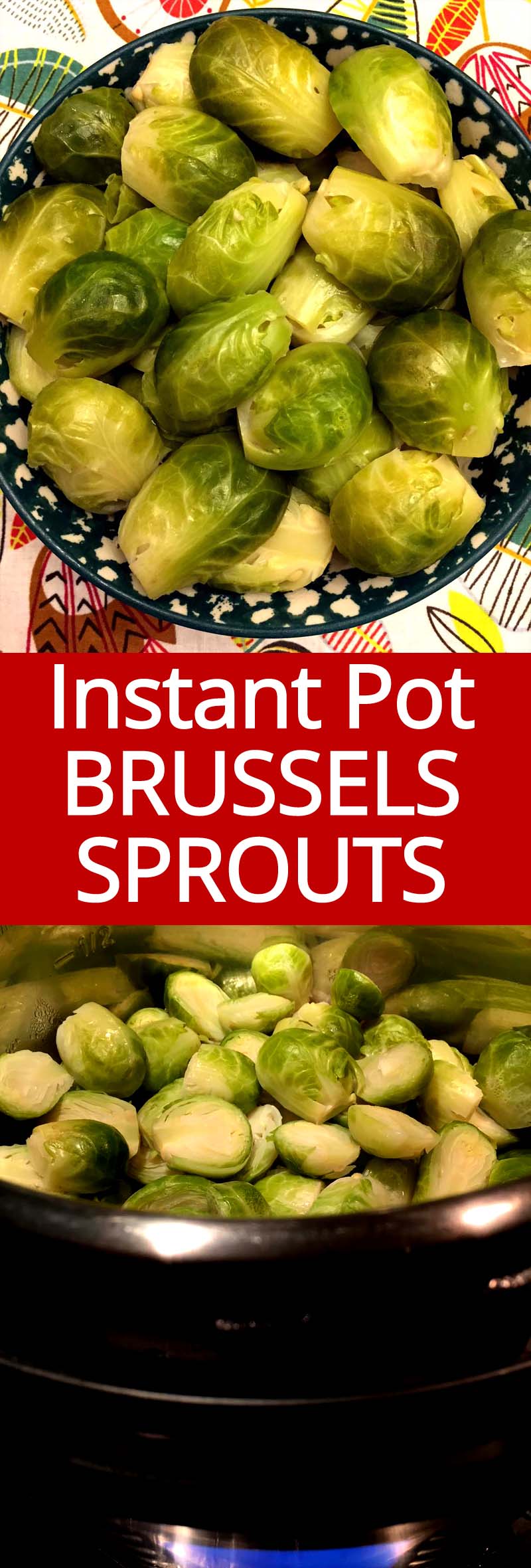 Instant Pot Steamed Brussels Sprouts Recipe Melanie Cooks