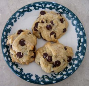 Freshly baked chocolate chip cookies on a decorative blue and white plate, showcasing their soft, chewy texture and generous chocolate chips for a classic homemade treat.