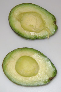 avocado halves