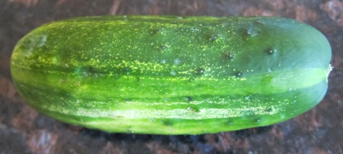 How To Store Cucumbers To Keep Them Fresh Longer – Melanie Cooks