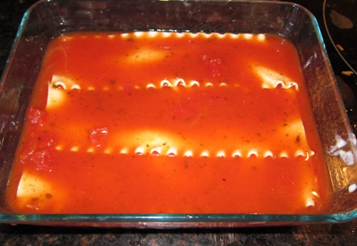 tomato sauce on top of the lasagna