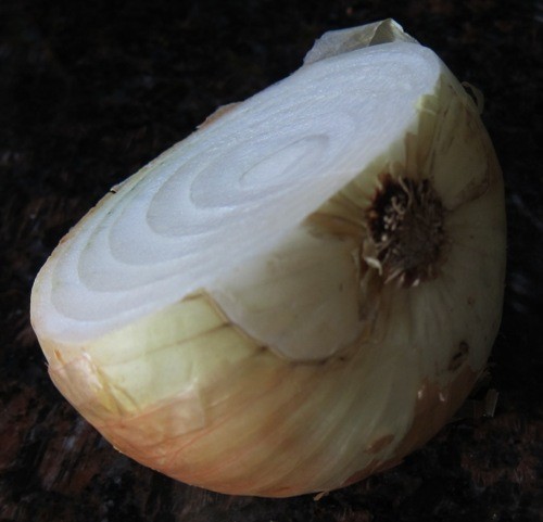 onion-half