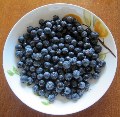 bowl of fresh blueberries