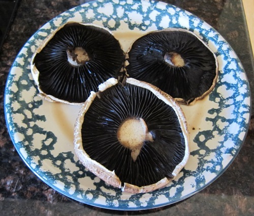 microwaved portobello mushrooms