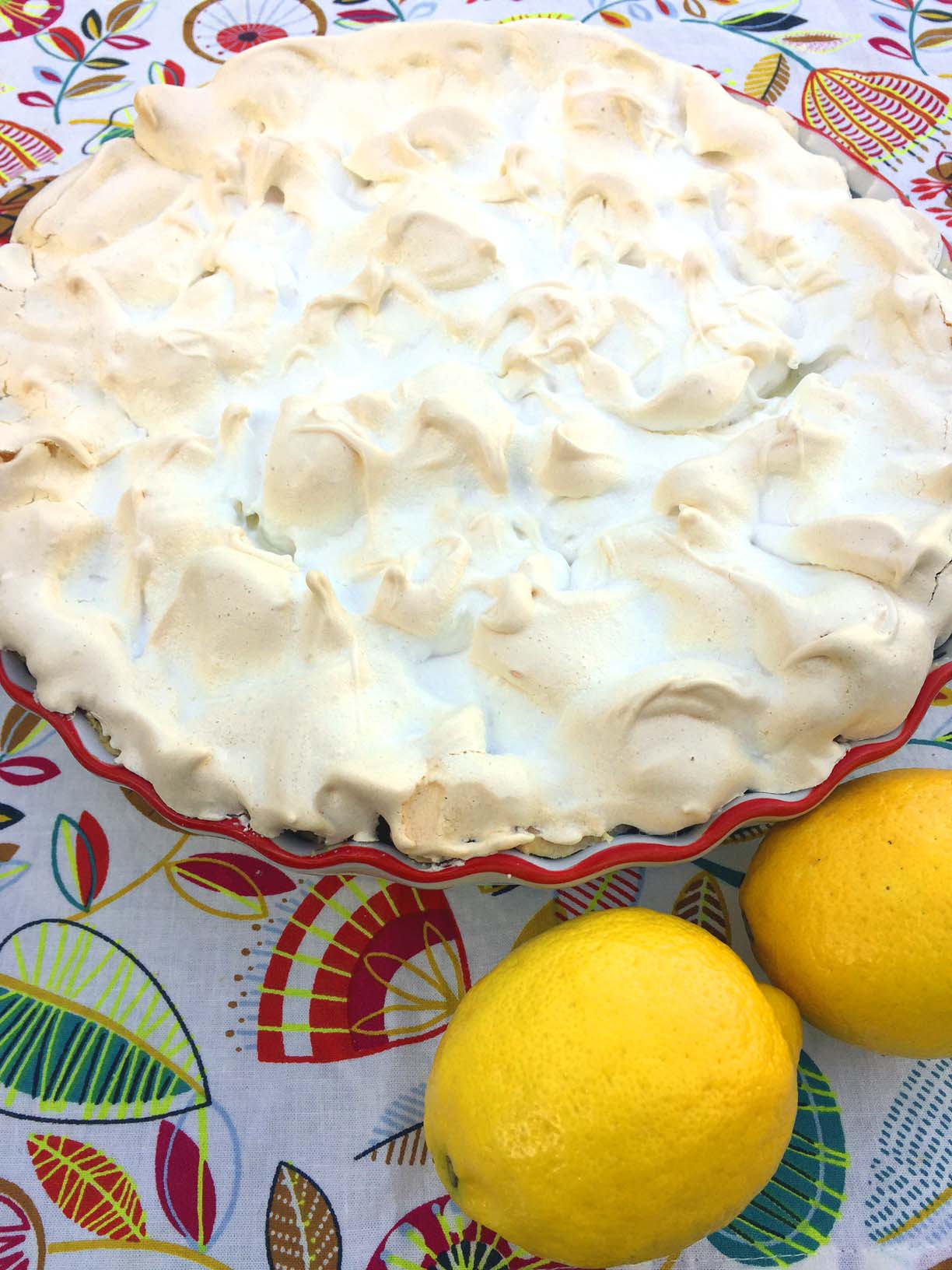 Best Ever Lemon Meringue Pie Step-By-Step Recipe - Melanie ...