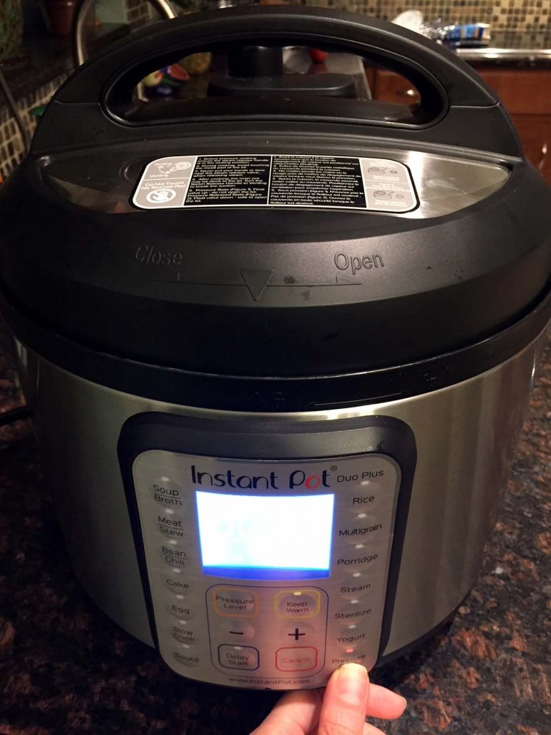 What Is An Instant Pot?