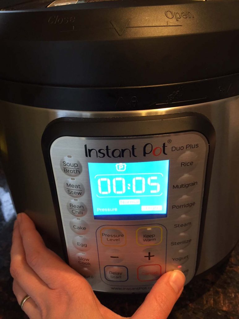 Instant Pot White Rice – How To Cook Rice In A Pressure Cooker – Melanie  Cooks