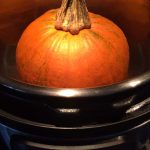 Instant Pot Pumpkin Puree