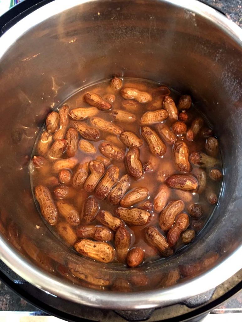 Instant Pot Boiled Peanuts – Melanie Cooks