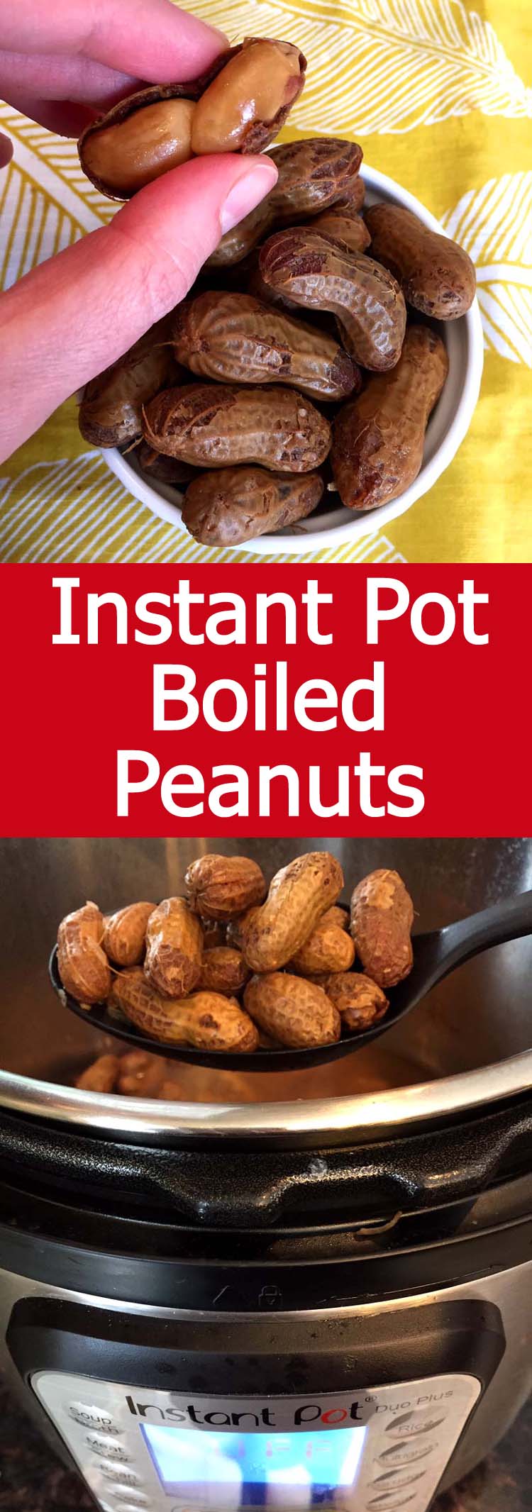 Instant Pot Boiled Peanuts – Melanie Cooks