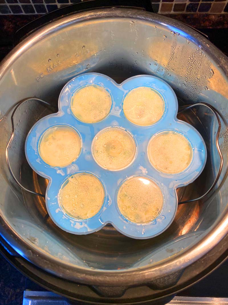 Silicone Egg Bites Mold