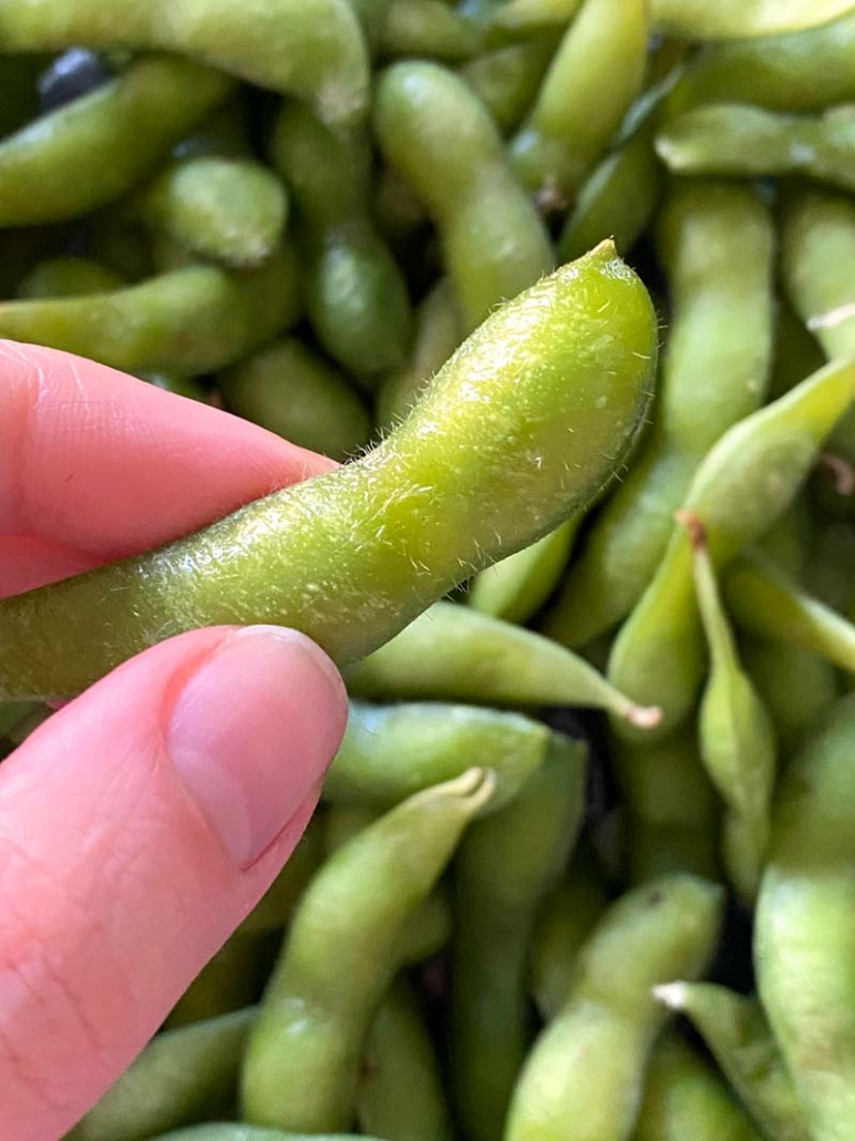 how to cook edamame beans in the microwave