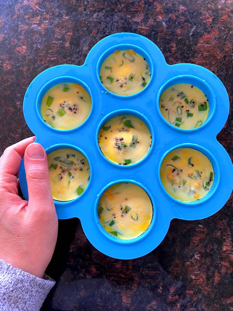 Instant Pot egg bite mold recipes (you can make so much more than eggs in Instant  Pot silicone molds!) - Fab Everyday