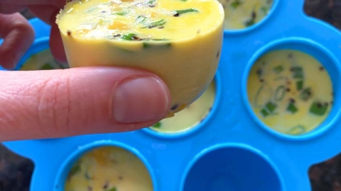 Silicone Egg Bites Mold