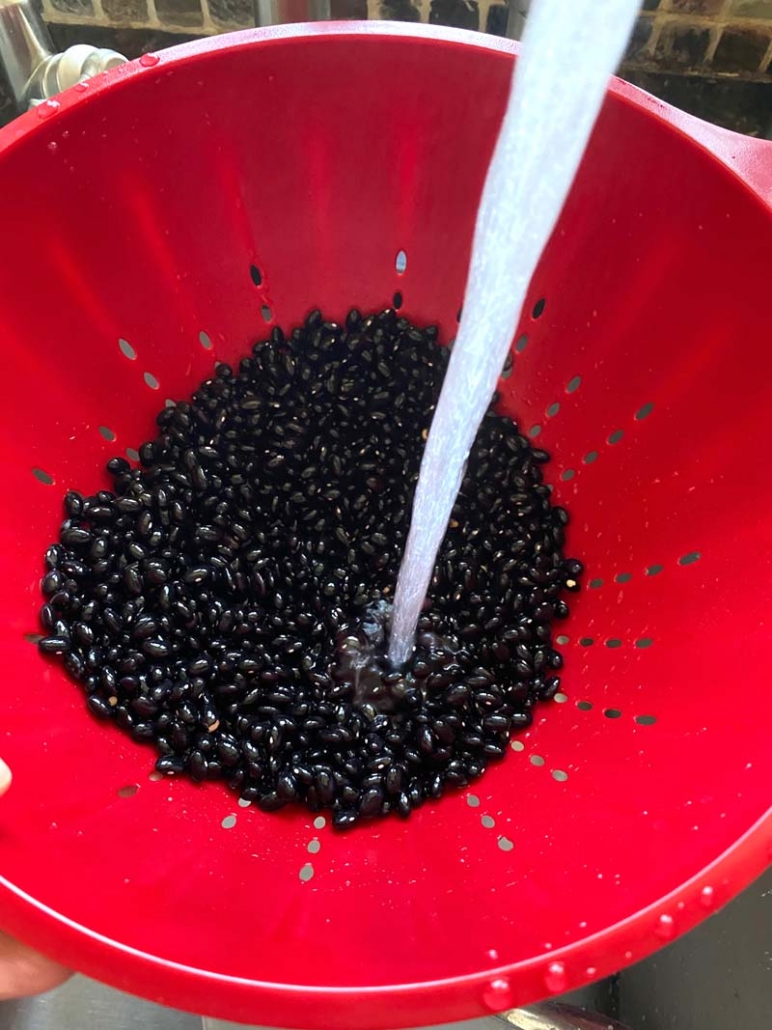 rinsing dry black beans in a red collender 