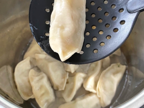 Instant pot 2024 frozen dumplings