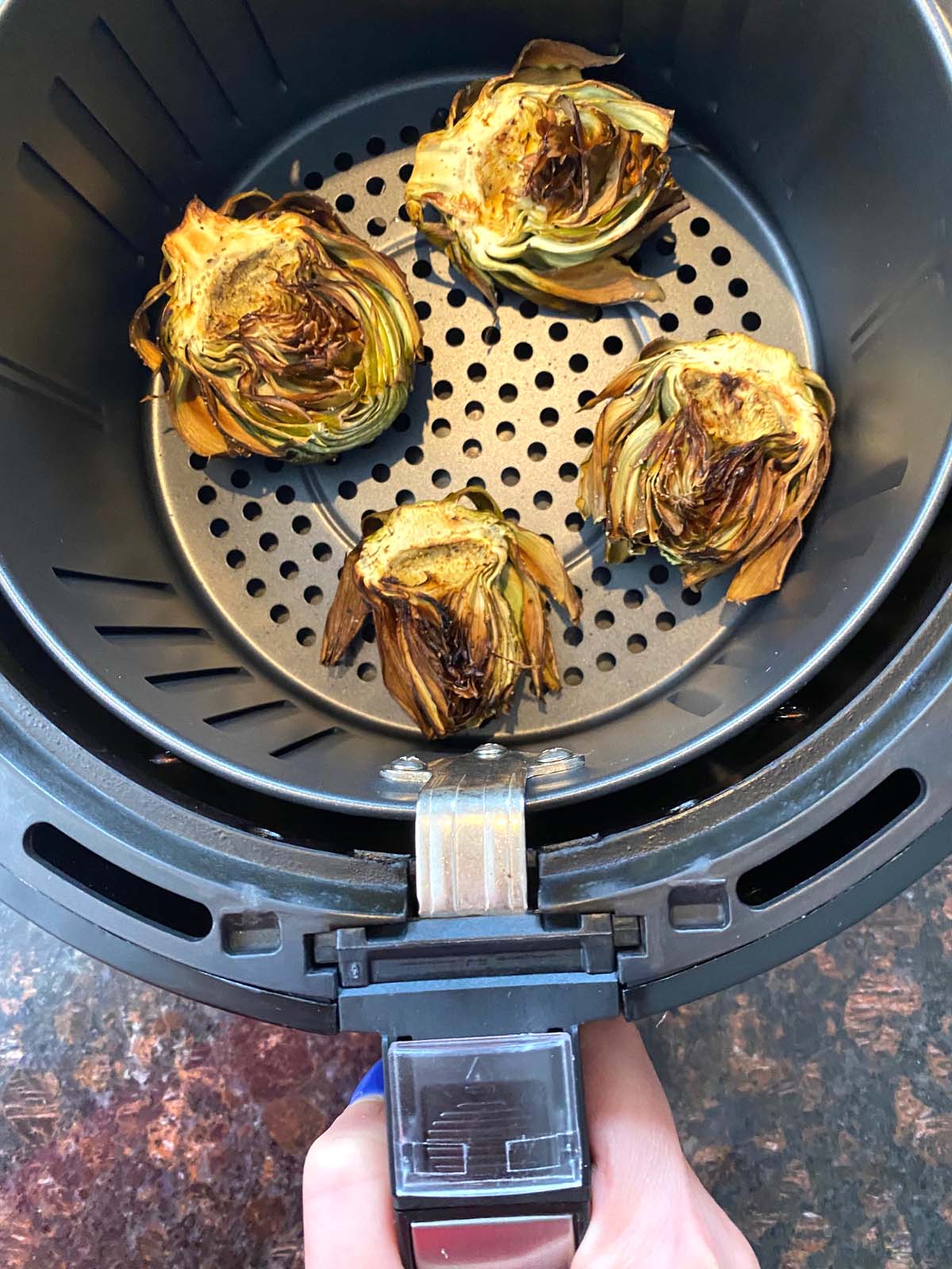 Cooked aritchokes before being removed from basket.