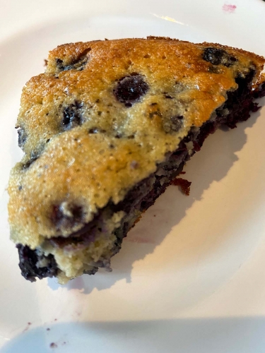 Almond Flour Blueberry Cake Recipe (Gluten-Free) – Melanie Cooks