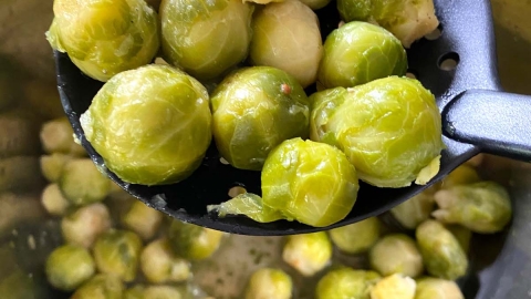 Instant Pot Frozen Brussels Sprouts