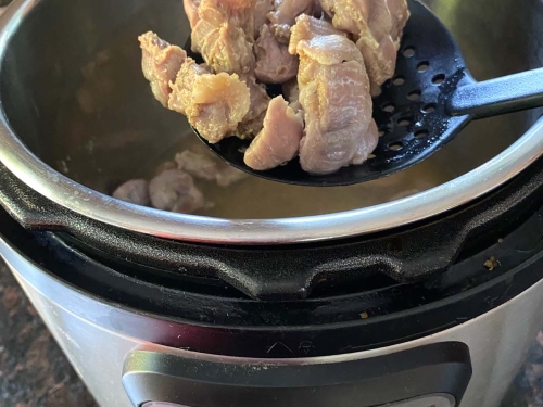 Chicken gizzard 2024 instant pot