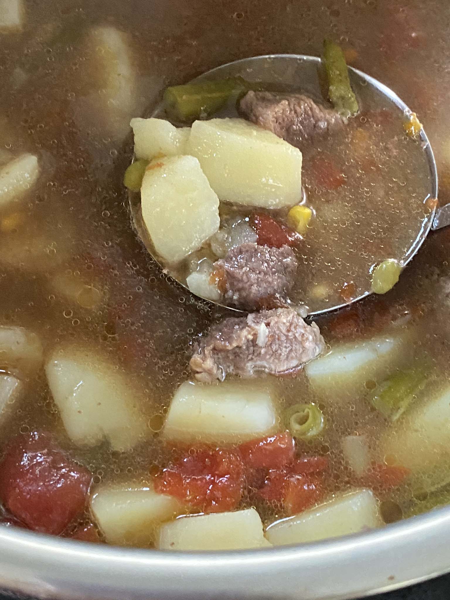 Instant Pot Beef Vegetable Soup – The Bossy Kitchen