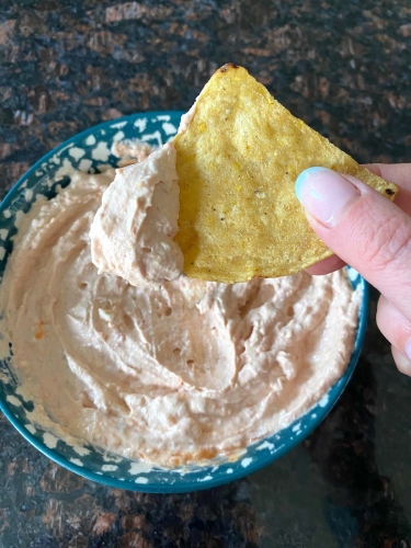 Cream Cheese And Salsa Dip (7)