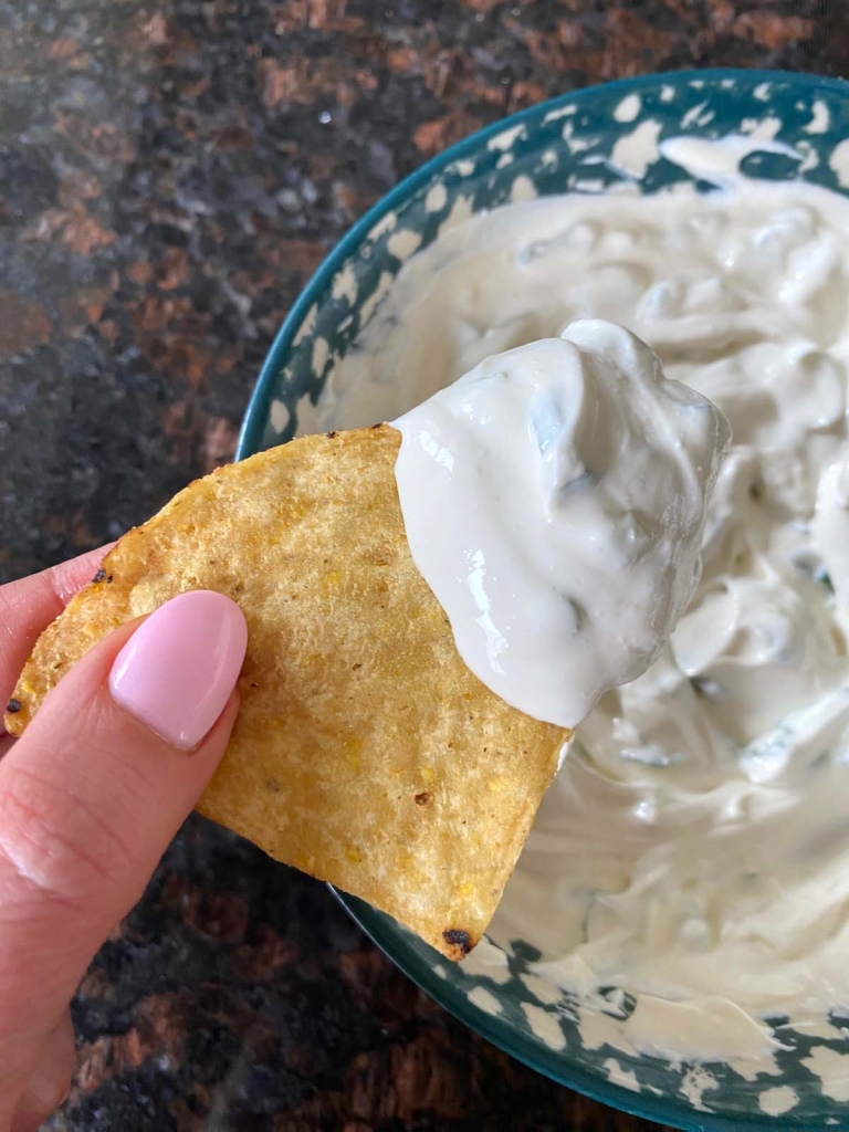 Sour Cream And Onion Dip