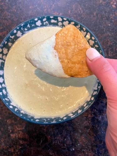 Sour Cream And Green Onion Dip (2)