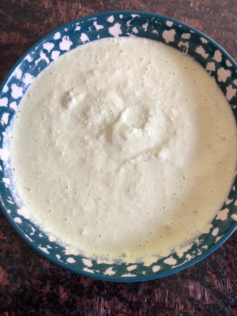 smooth Green Onion Dip in a serving bowl