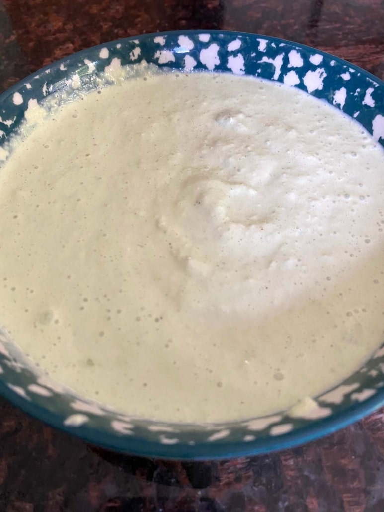 bowl of sour cream and green onion dip