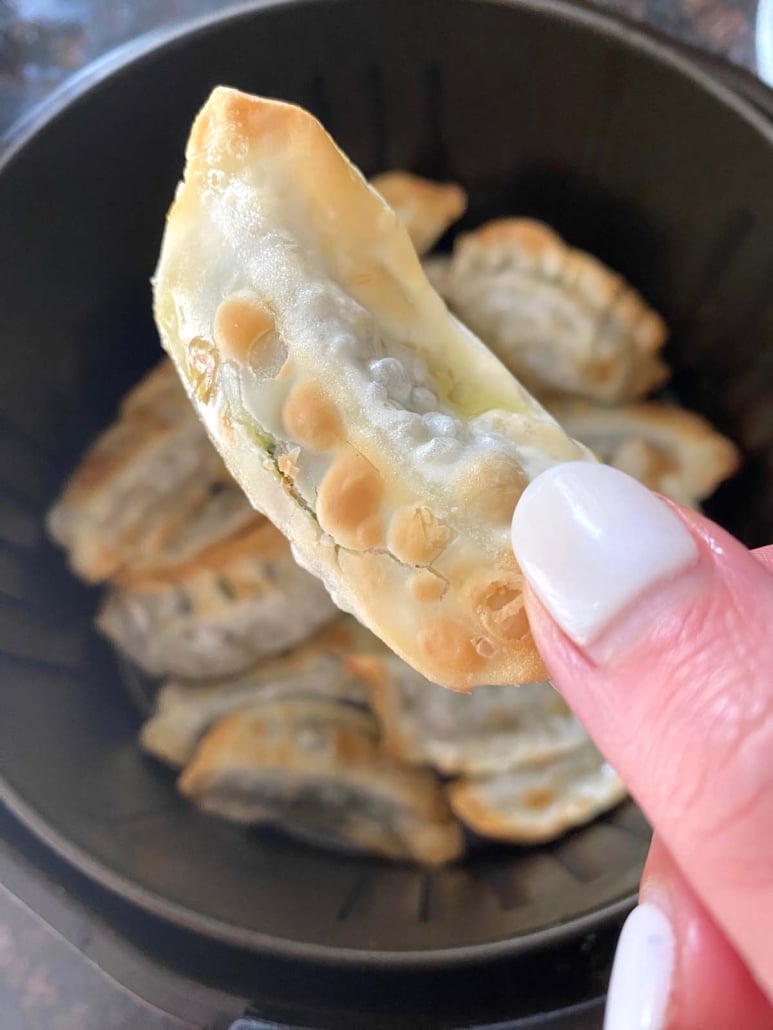 hand holding a warm and crispy, air-fried gyoza