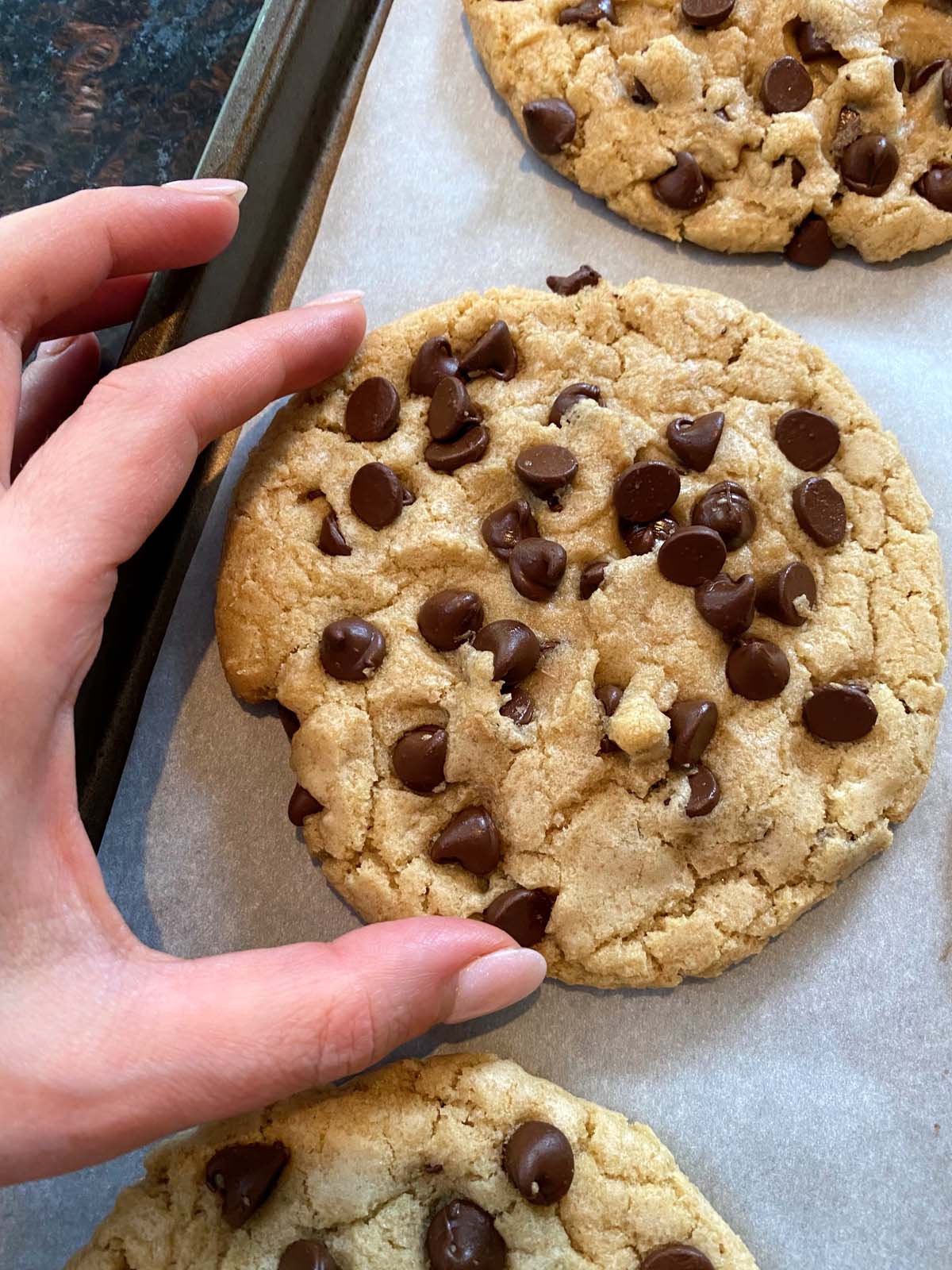 Dairy Free Chocolate Chip Cookies Without Butter – Melanie Cooks