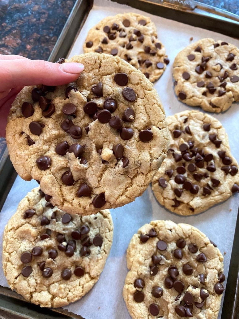 hand holding Dairy Free Chocolate Chip Cookie in front of baking tray