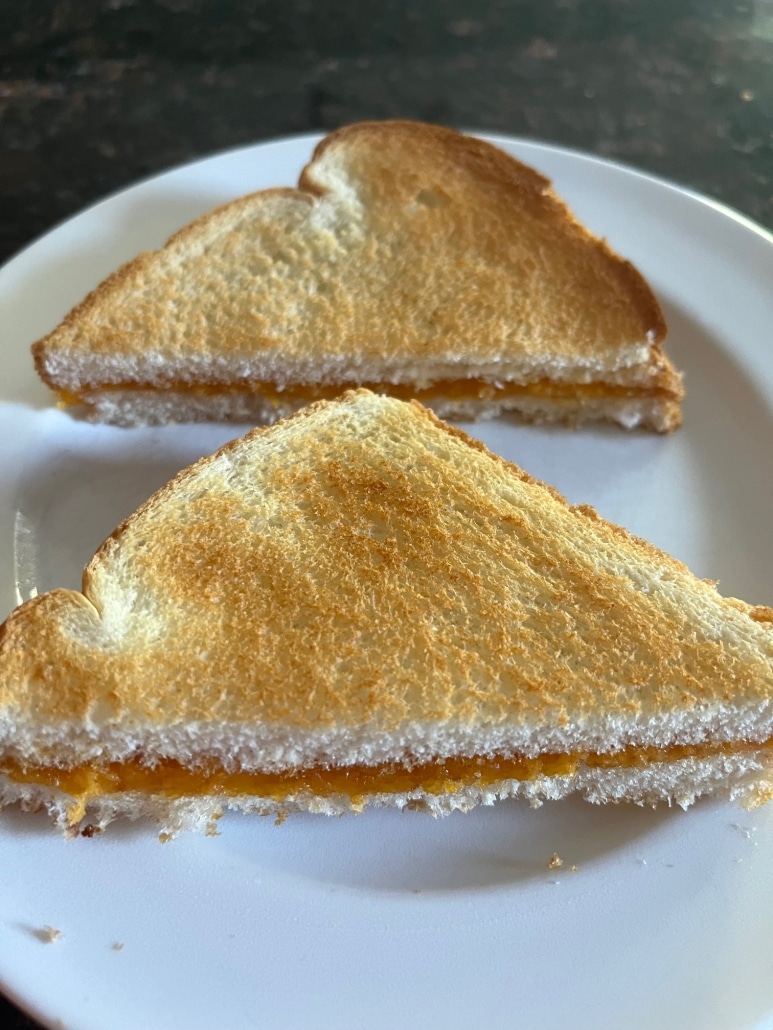 I Tested The Grilled Cheese Sandwich Toaster, By Tasty