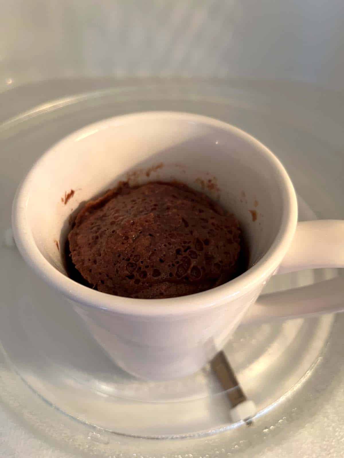 Nutella Mug Cake – Melanie Cooks