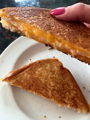 Grilled Turkey And Cheese Sandwich (13)