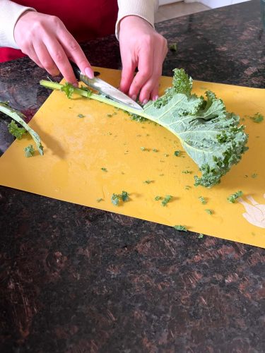 kale cutting techniques