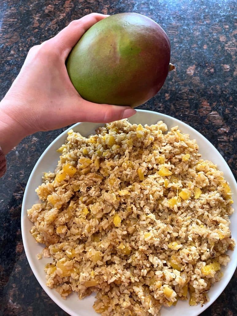 tropical fried rice