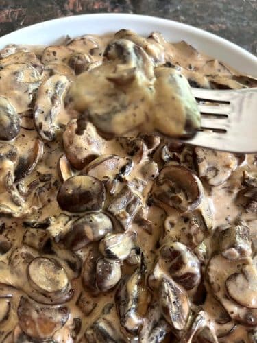 vegan mushroom stroganoff