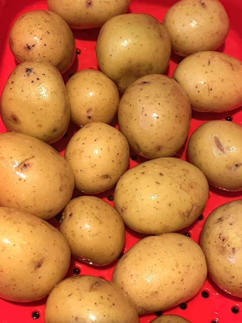 Freshly boiled small potatoes draining in a red colander, ready to be served as part of the Boiled Small Potatoes recipe.