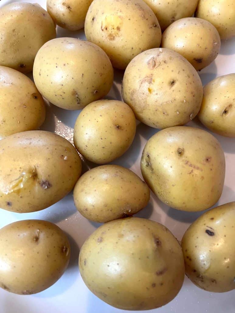 Boiled small potatoes placed on a white plate,