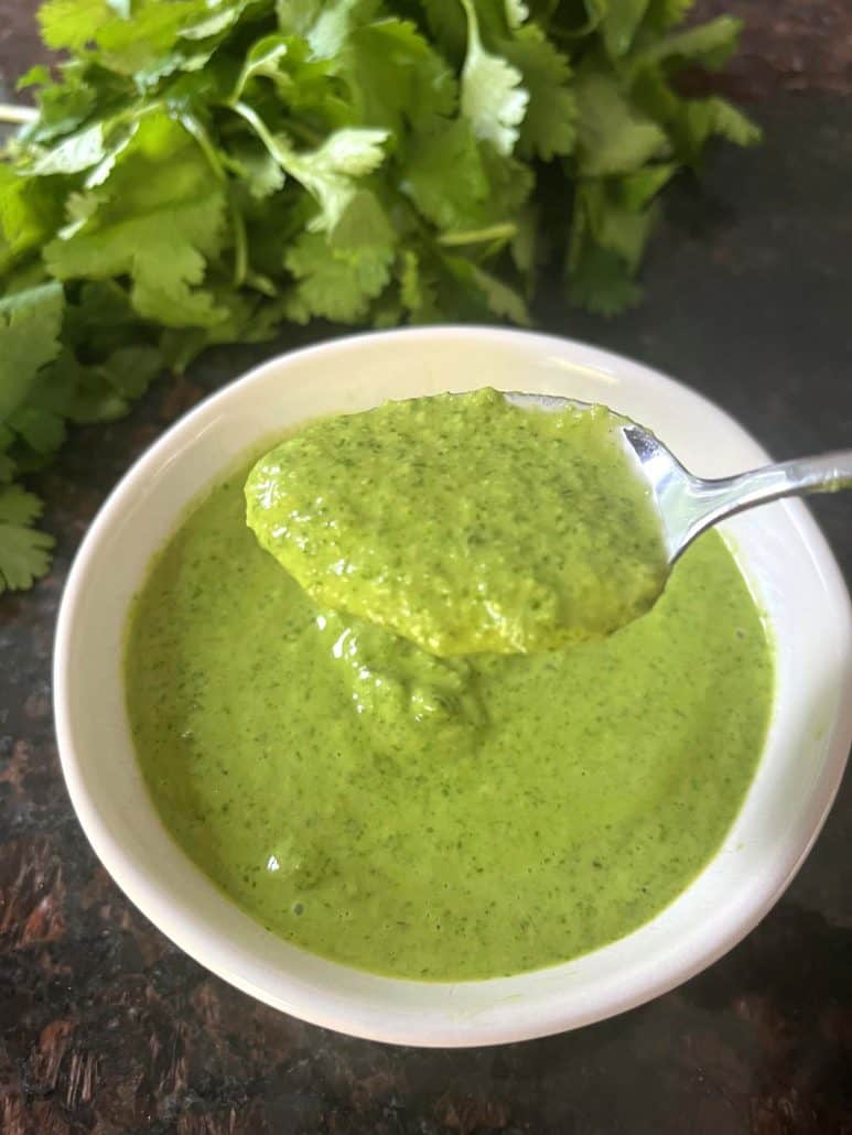 A spoonful of fresh Cilantro Chimichurri sauce lifted from a bowl, with a bunch of cilantro in the background, highlighting its green color and thick texture.