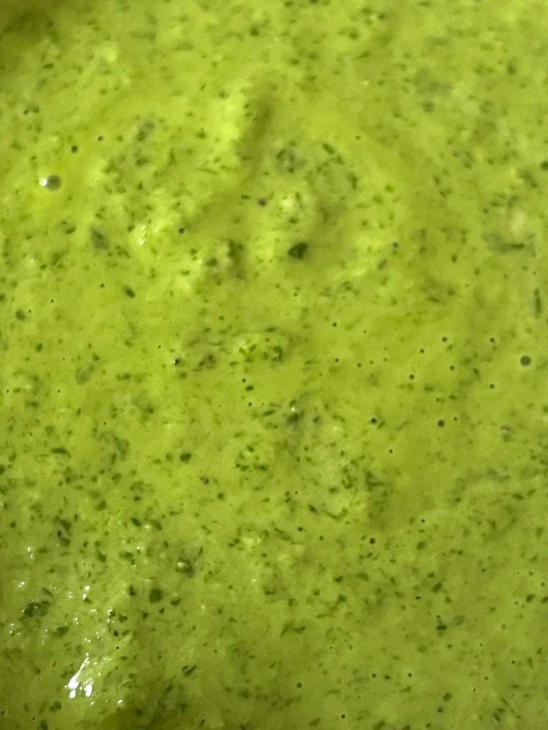 Close-up of the Cilantro Chimichurri sauce, highlighting its smooth, and fresh herb flecks.