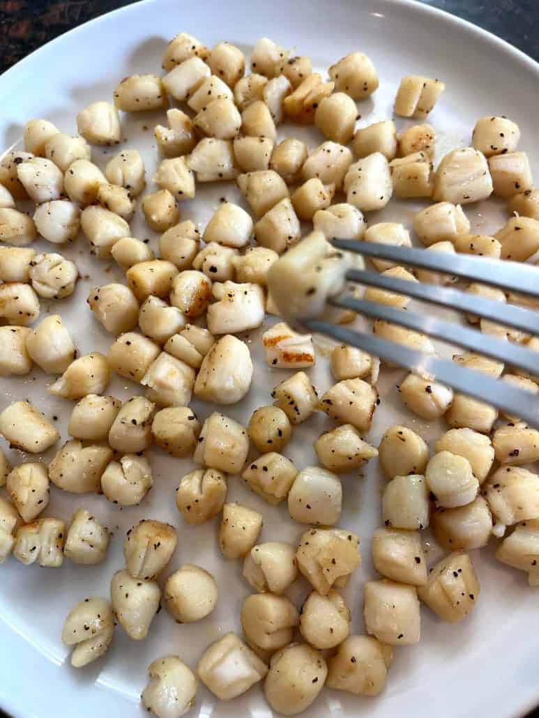 Cooked bay scallops on a plate, with a fork holding one scallop.