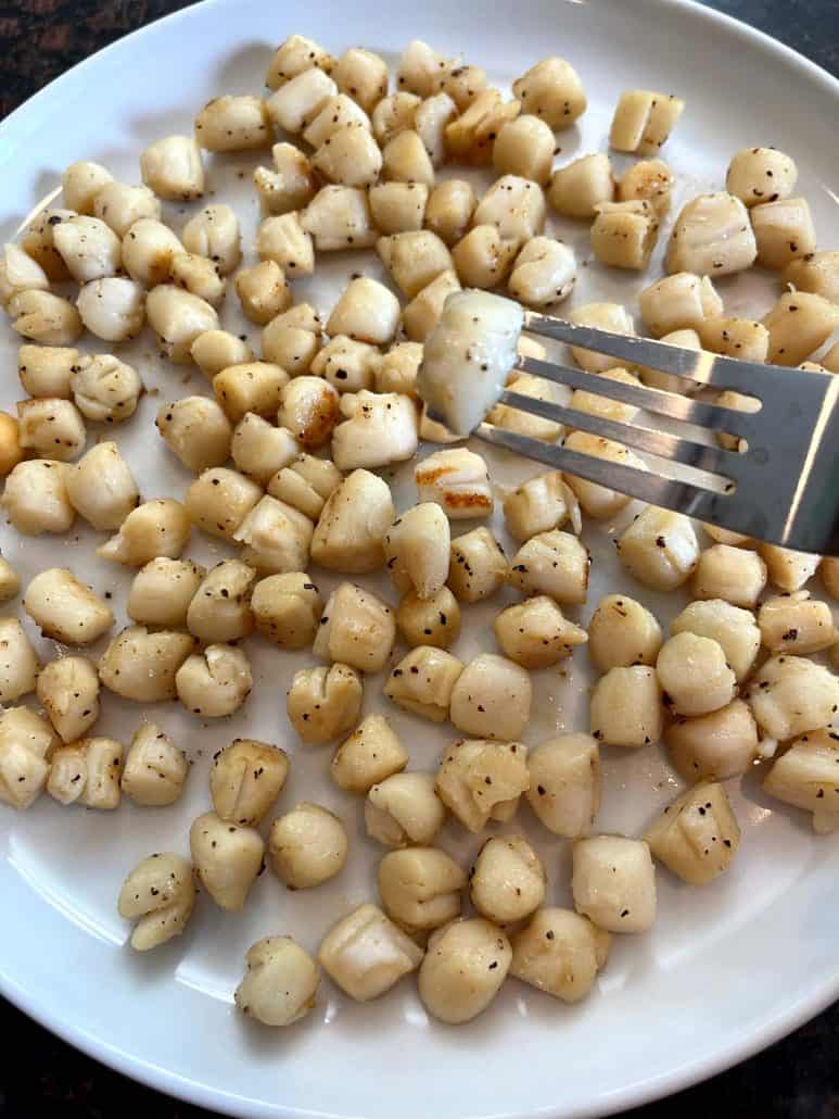 Cooked bay scallops on a plate, with a fork holding one scallop