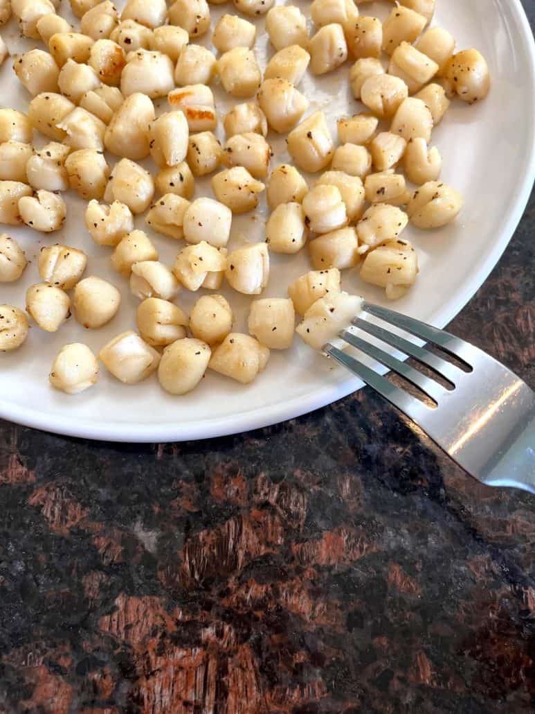 Cooked bay scallops on a plate, with a fork picking up one scallop from the edge.