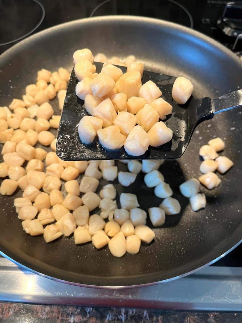 Pan-fried bay scallops in a non-stick frying pan, with a spatula lifting tender, lightly seared scallops.