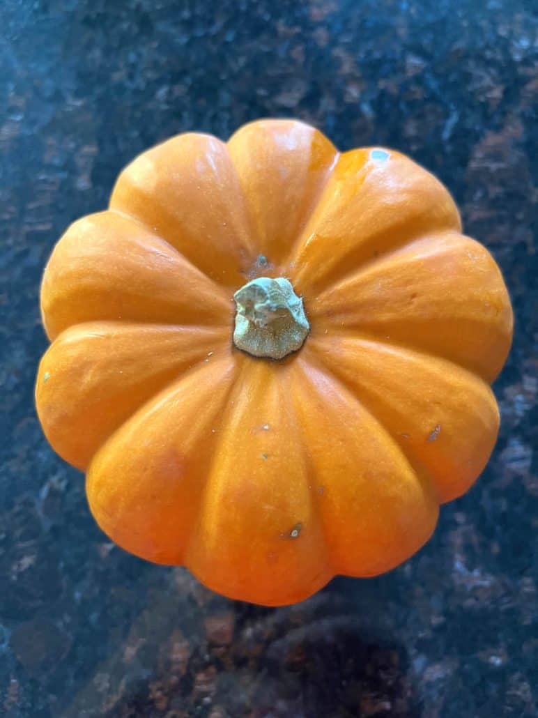 Small orange pumpkin with a stem on a dark countertop, ready to be cut and prepared for cooking.